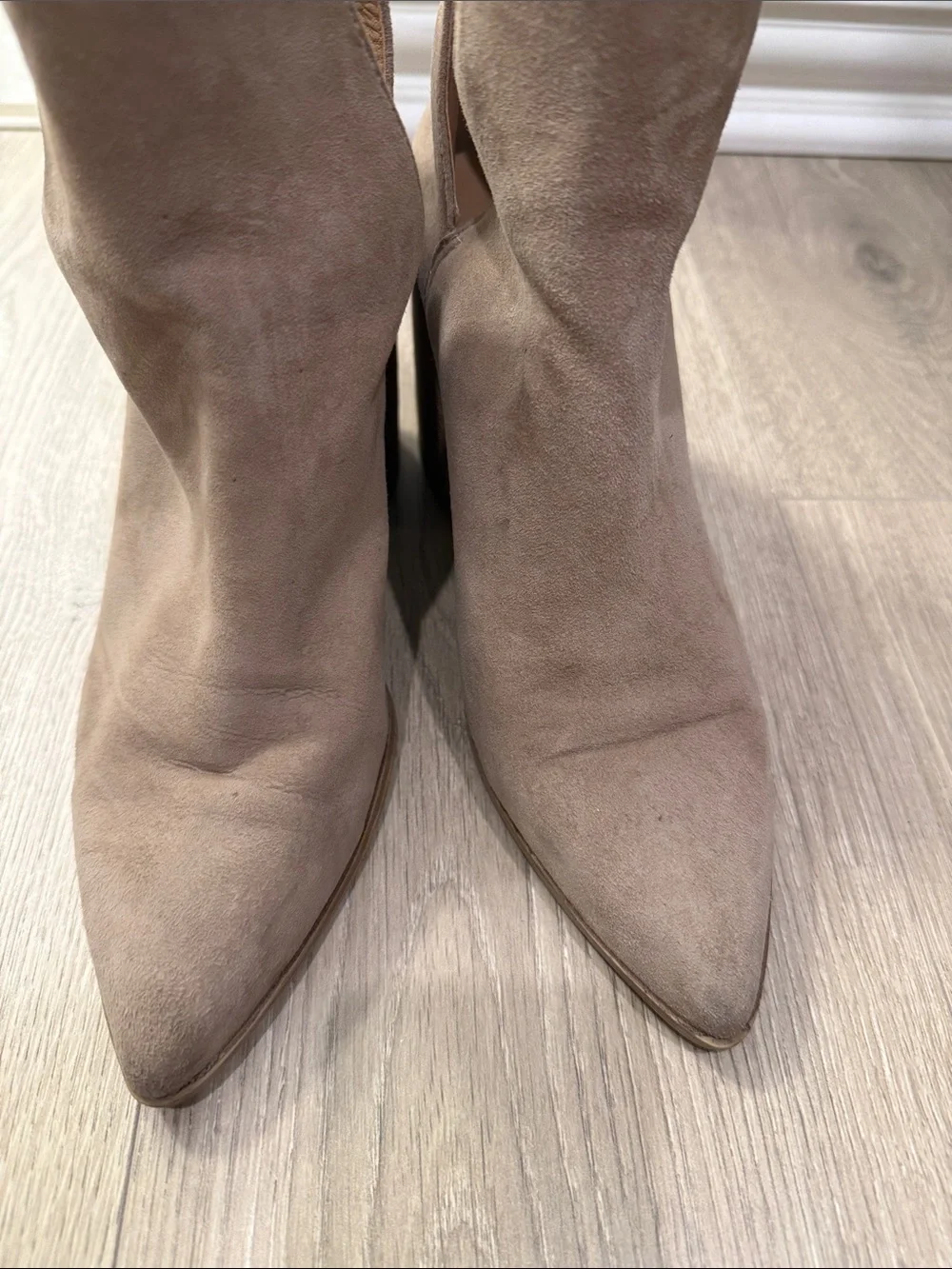 Steve Madden stylish taupe
